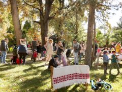 Szeged, Tök Jó Nap, tök, tökfaragás, ősz, október, természet, Füvészkert