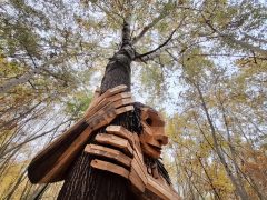 Hódmezővásárhely, Ölelő Olga, szobor, erdő, troll, Kása-erdő, természet