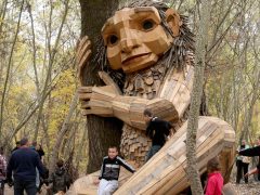 Hódmezővásárhely, Ölelő Olga, szobor, erdő, troll, Kása-erdő, természet