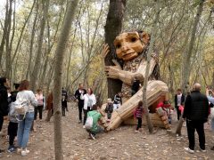 Hódmezővásárhely, Ölelő Olga, szobor, erdő, troll, Kása-erdő, természet