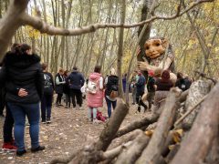 Hódmezővásárhely, Ölelő Olga, szobor, erdő, troll, Kása-erdő, természet