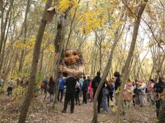 Hódmezővásárhely, Ölelő Olga, szobor, erdő, troll, Kása-erdő, természet