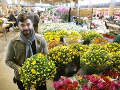 Szeged, koszorú, mécses, virág, Mars téri piac, Mindenszentek