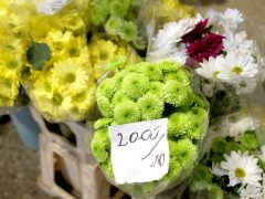 Szeged, koszorú, mécses, virág, Mars téri piac, Mindenszentek