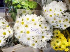 Szeged, koszorú, mécses, virág, Mars téri piac, Mindenszentek