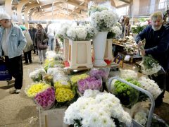 Szeged, koszorú, mécses, virág, Mars téri piac, Mindenszentek