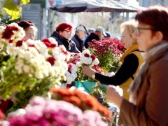 Szeged, koszorú, mécses, virág, Mars téri piac, Mindenszentek