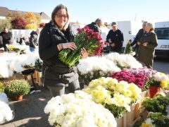 Szeged, koszorú, mécses, virág, Mars téri piac, Mindenszentek