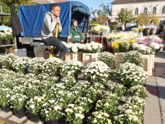 Szeged, koszorú, mécses, virág, Mars téri piac, Mindenszentek