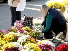 Szeged, koszorú, mécses, virág, Mars téri piac, Mindenszentek