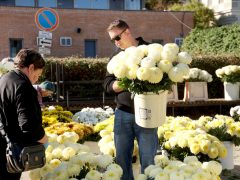 Szeged, koszorú, mécses, virág, Mars téri piac, Mindenszentek