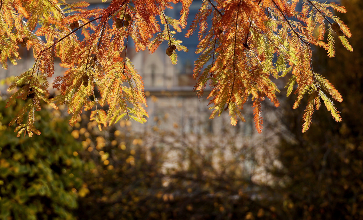 Szeged, október, ősz, időjárás