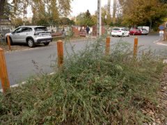 Szeged, Dugonics temető, temető, parkolás, parkoló, Temető utca