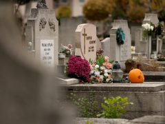 Szeged, Dugonics temető, temető, mindenszentek, halottak napja