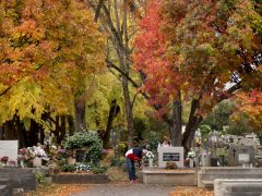 Szeged, Belvárosi temető, temető, mindenszentek, halottak napja