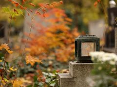 Szeged, Belvárosi temető, temető, mindenszentek, halottak napja