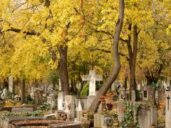 Szeged, Belvárosi temető, temető, mindenszentek, halottak napja