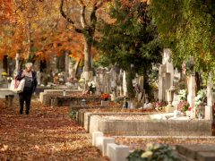 Szeged, Belvárosi temető, temető, mindenszentek, halottak napja