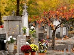 Szeged, Belvárosi temető, temető, mindenszentek, halottak napja