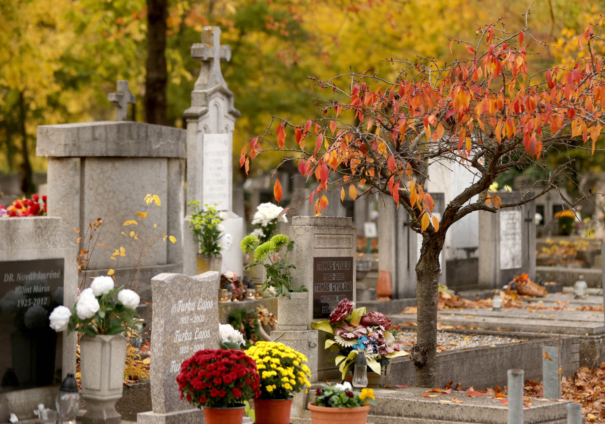 Szeged, Belvárosi temető, temető, mindenszentek, halottak napja