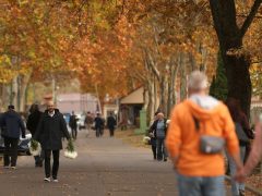 Szeged, Belvárosi temető, temető, mindenszentek, halottak napja