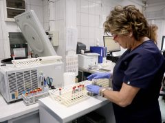 Szeged, Európai Laboratóriumi Dolgozók Napja, nyílt nap, Szegedi Tudományegyetem, SZTE, Szent-Györgyi Albert Klinikai Központ, Laboratóriumi Medicina, labor, vérvétel, vér, vizsgálat, egészségügy