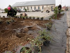 Szeged, elkészült, Bakay Nándor utca, burkolat, rekonstrukció, felújítás