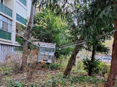 Szeged, cinke étterem, madáretető, Szamos utca