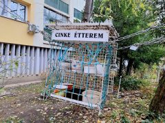 Szeged, cinke étterem, madáretető, Szamos utca