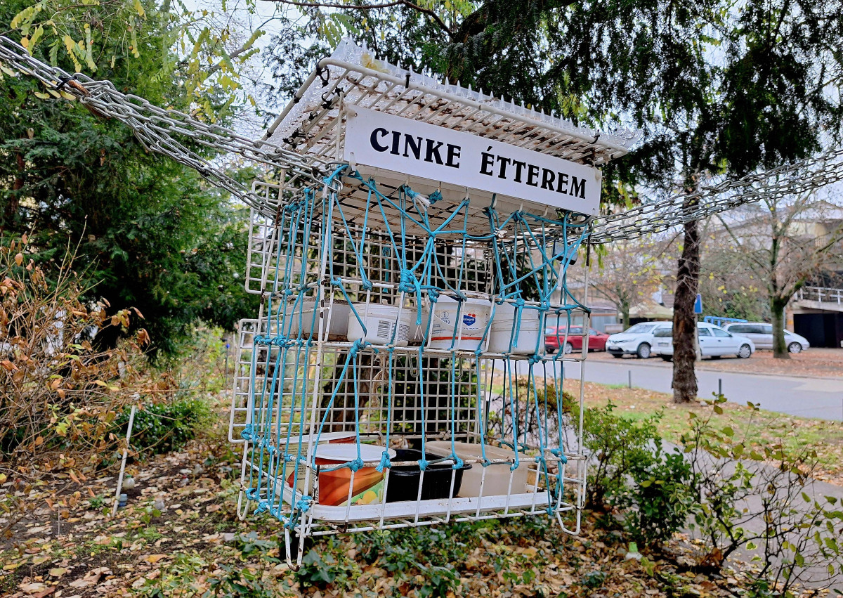 Szeged, cinke étterem, madáretető, Szamos utca