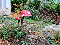 Szeged, sellő, törpe, gomba, kert, Szamos utca