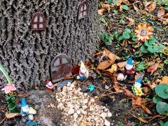 Szeged, sellő, törpe, gomba, kert, Szamos utca