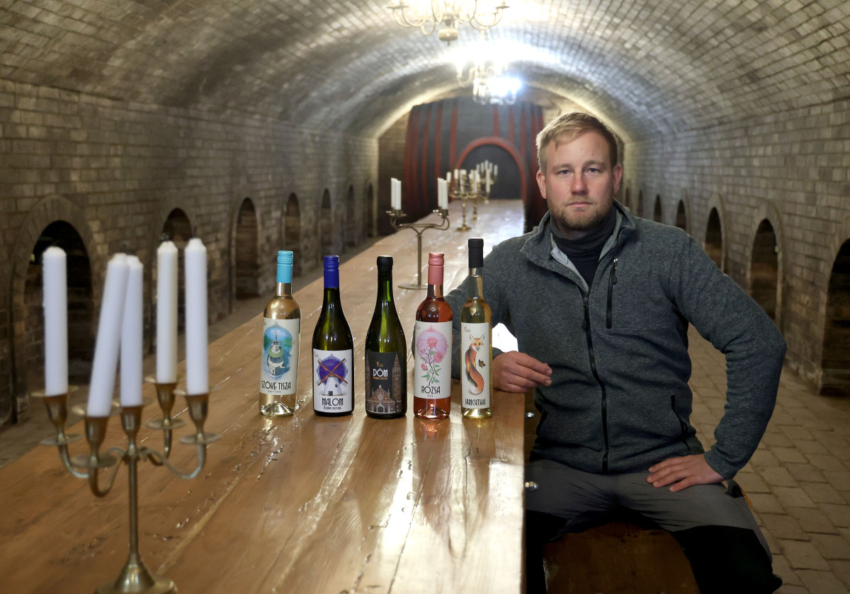 Szeged, Ujvári pincészet, bor, borászat, Pintér Tamás, borász