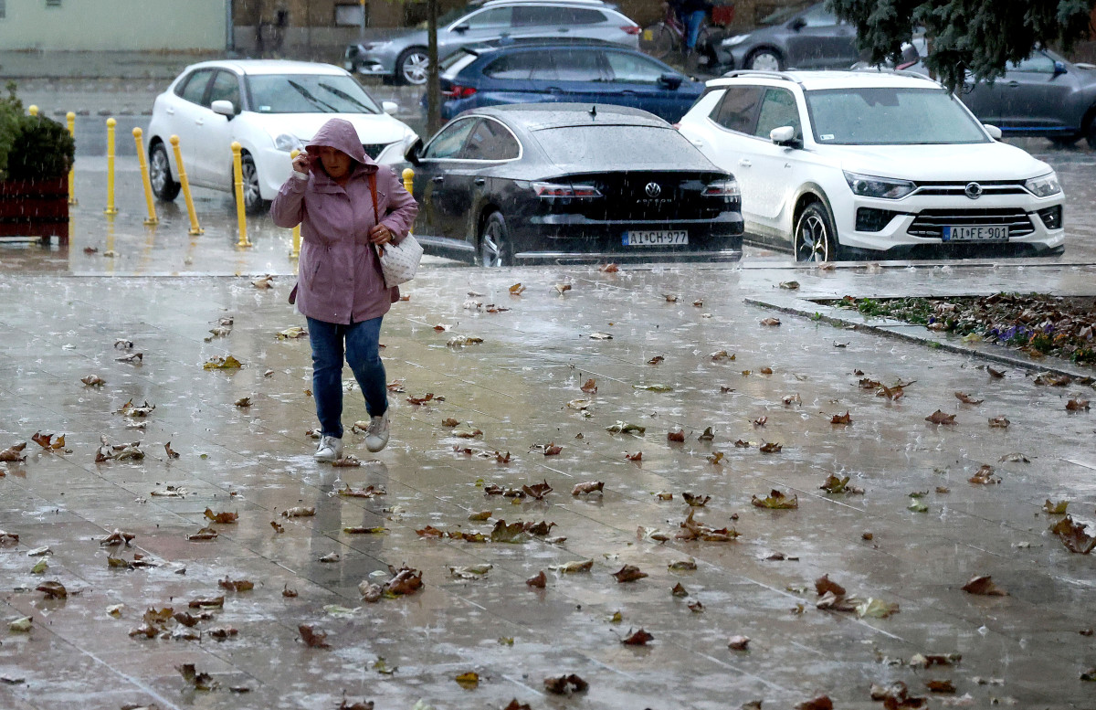 Szeged, vihar, lehülés, borulás, eső, időjárás, ősz, november