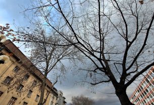 Szeged, vihar, lehülés, borulás, eső, időjárás, ősz, november
