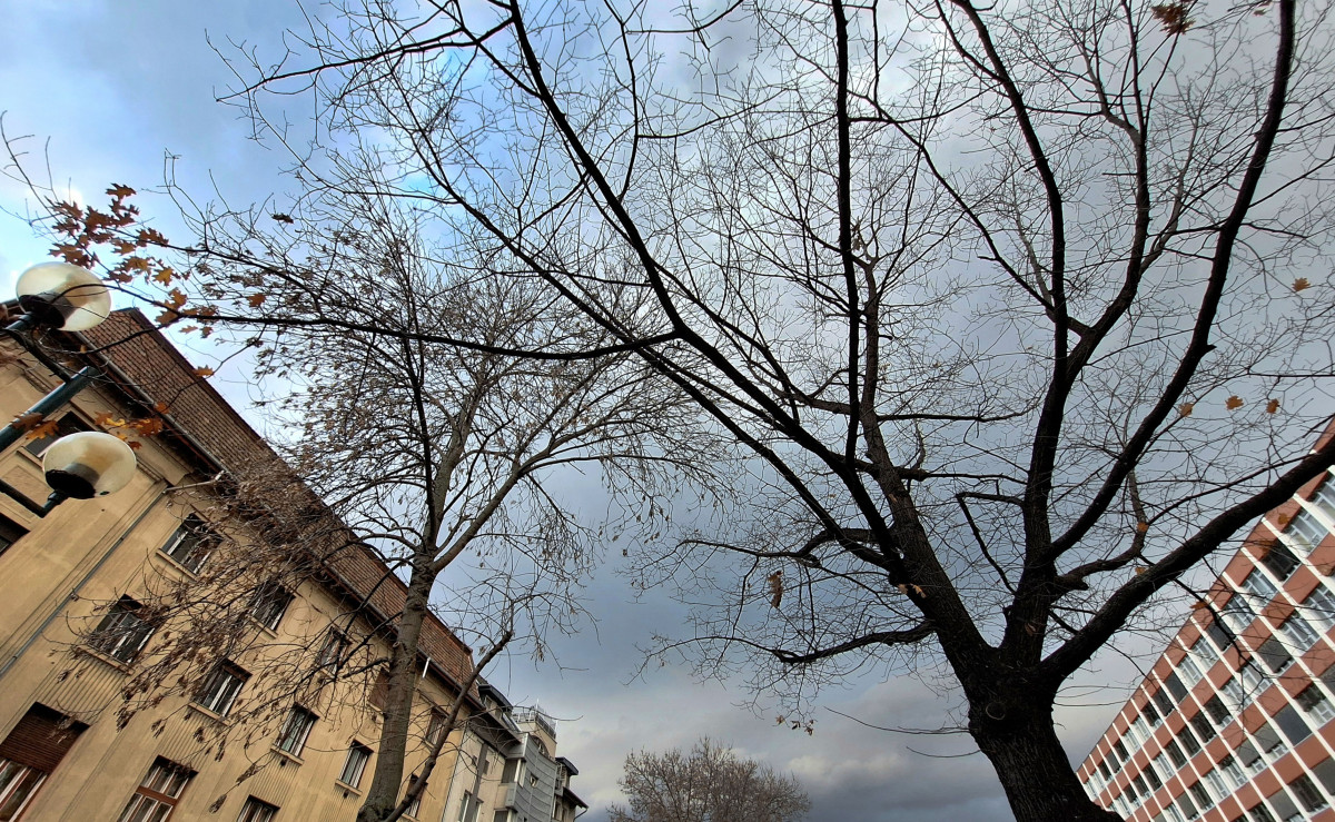 Szeged, vihar, lehülés, borulás, eső, időjárás, ősz, november