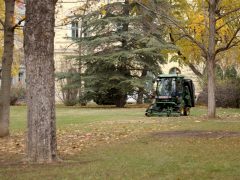Szeged, őszi takarítás, belváros, Széchenyi tér