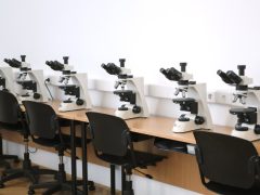 Szeged, felújított, SZTE, TTIK, Földrajz- és Földtudományi Intézet, átadó