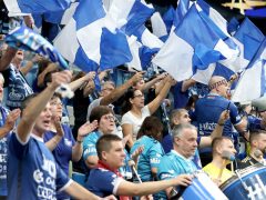 Szeged, OTP Bank Pick Szeged, Eurofarm Peliszter, kézilabda, BL, mérkőzés, Pick Aréna, sport