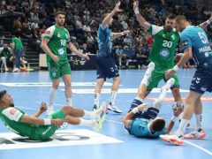 Szeged, OTP Bank Pick Szeged, Eurofarm Peliszter, kézilabda, BL, mérkőzés, Pick Aréna, sport