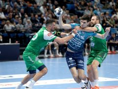 Szeged, OTP Bank Pick Szeged, Eurofarm Peliszter, kézilabda, BL, mérkőzés, Pick Aréna, sport