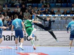 Szeged, OTP Bank Pick Szeged, Eurofarm Peliszter, kézilabda, BL, mérkőzés, Pick Aréna, sport