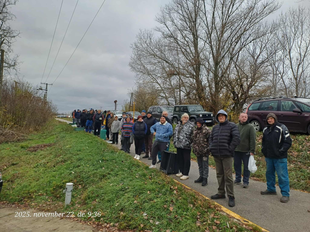 Akciós busavásár Szarvason