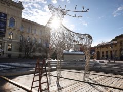 Szeged, fényszarvas, szarvas, Dugonics tér, karácsony, karácsonyi hetek