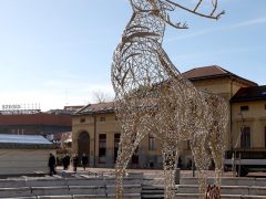 Szeged, fényszarvas, szarvas, Dugonics tér, karácsony, karácsonyi hetek