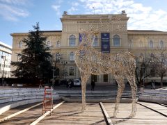 Szeged, fényszarvas, szarvas, Dugonics tér, karácsony, karácsonyi hetek