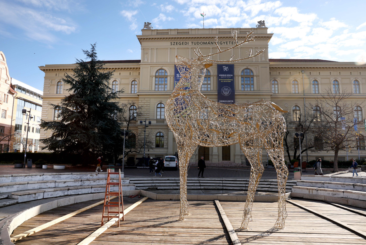 Szeged, fényszarvas, szarvas, Dugonics tér, karácsony, karácsonyi hetek