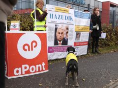 Szeged, utcai megmozdulás, aHang, aPont, Délmagyarország, szerkesztőség, demonstráció