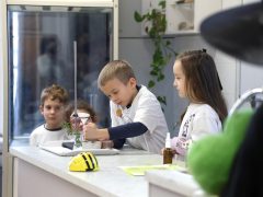 Szeged, SZTE, Juhász Gyula Gyakorló Általános Iskola, iskola, Richter tanterem