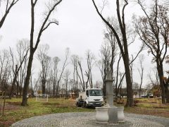 Szeged, önkormányzat, faültetés, fásítás, fa, Kállay liget